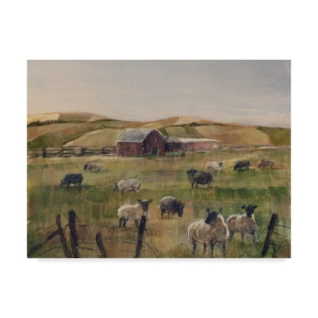 Ethan Harper 'Grazing Sheep Ii' Canvas Art,14x19